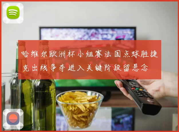 哈维尔欧洲杯小组赛法国点球胜捷克出线争夺进入关键阶段留悬念